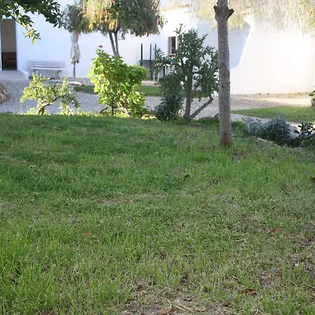 Amoreira Hostal *