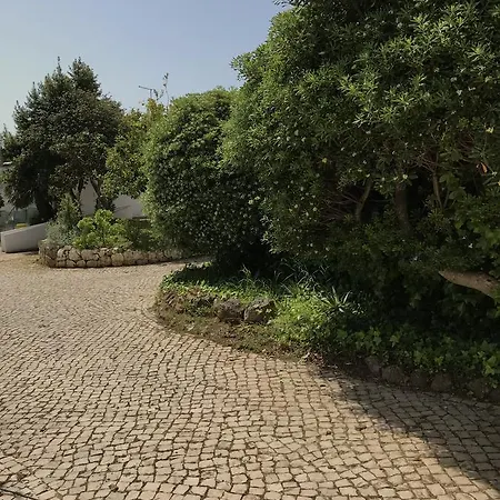 Amoreira אכסניה *